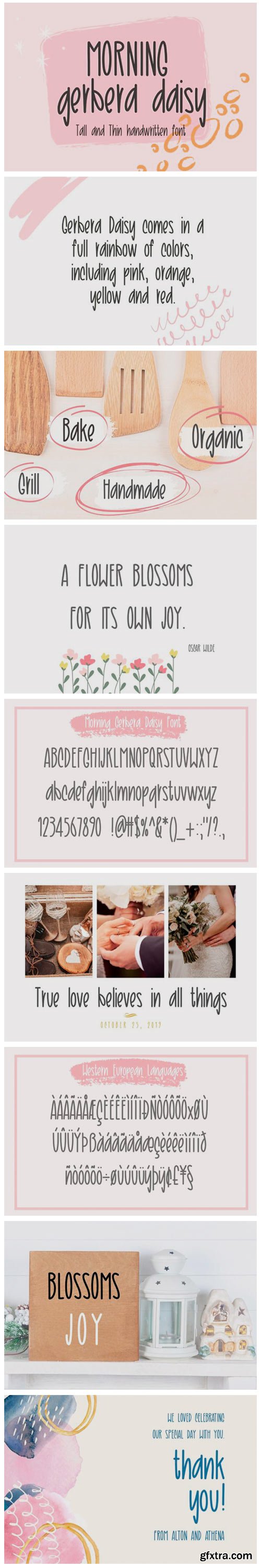 Morning Gerbera Daisy Font