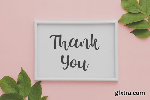 Feminine Script Font