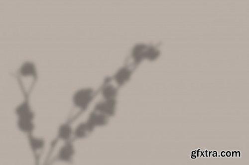 Overlay shadow window