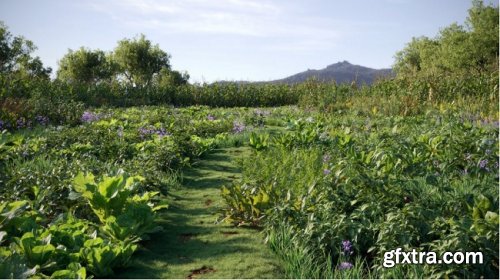 Maxtree – Plant Models Vol. 38