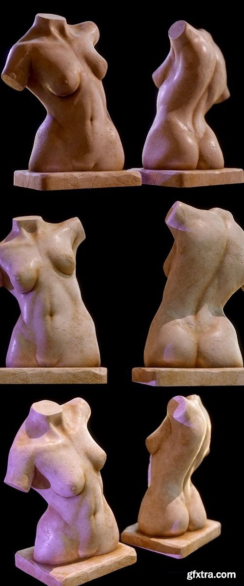 Female Anatomy Sculpture 3D Model