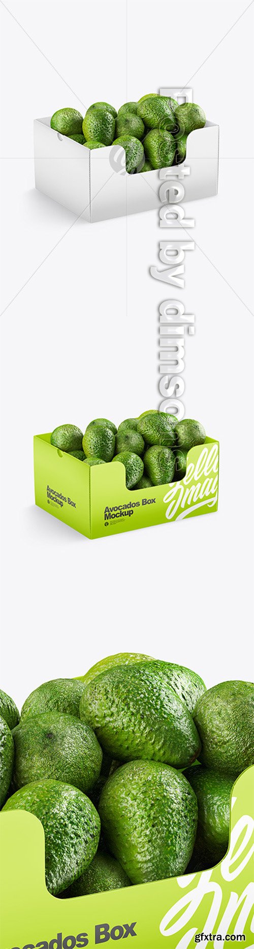 Box With Avocado 52650