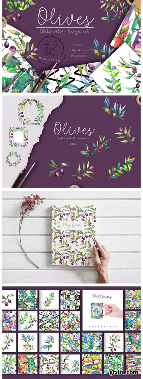 Branches of an Olive Tree Watercolor Set 4750593 Branches of an Olive Tree Watercolor Set 4750593