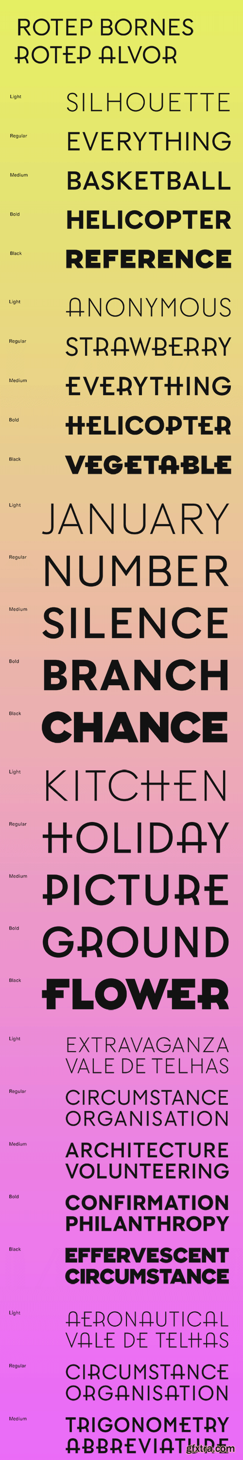 Rotep Font Family