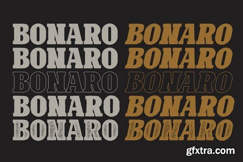 10 Font - Bonaro Font Family