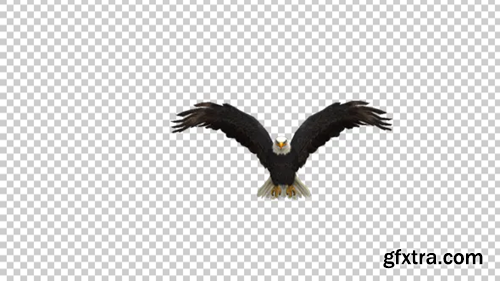 image_preview image_preview