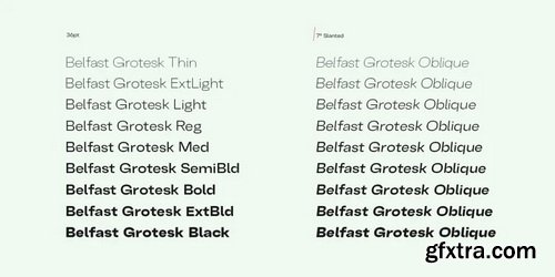 Belfast Grotesk Font Family