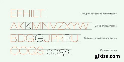 Belfast Grotesk Font Family