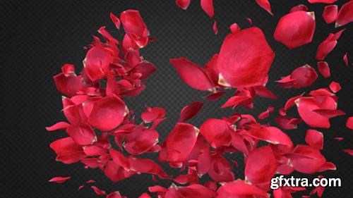 image_preview image_preview