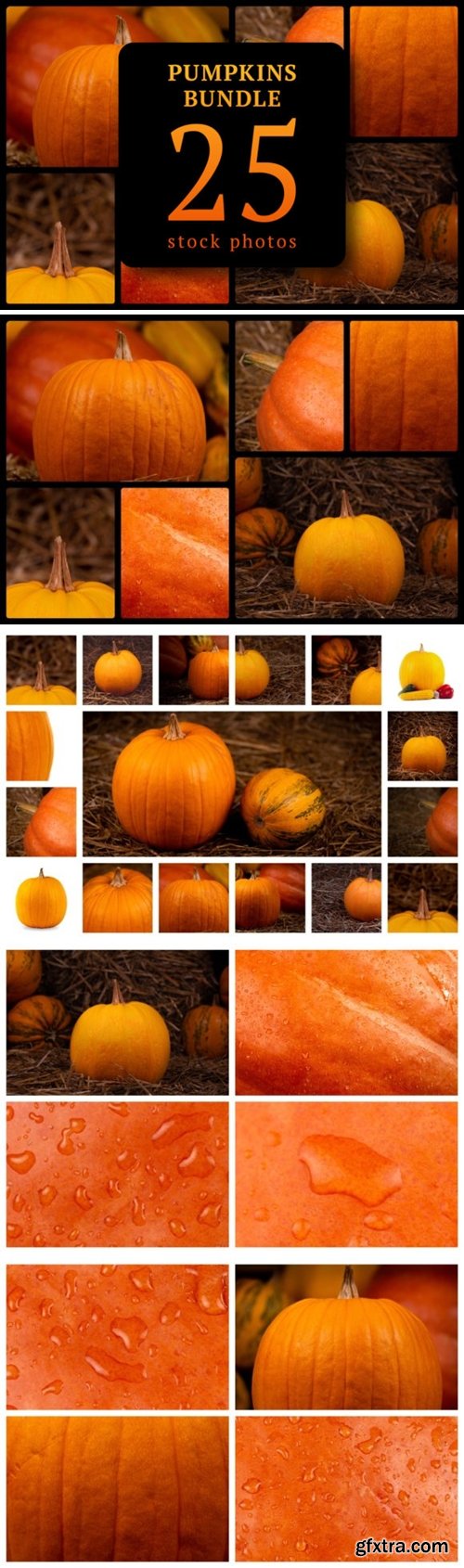 Pumpkins Bundle 25 Stock Photos 6089651