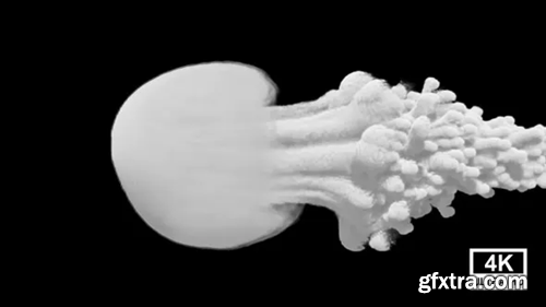 image_preview image_preview