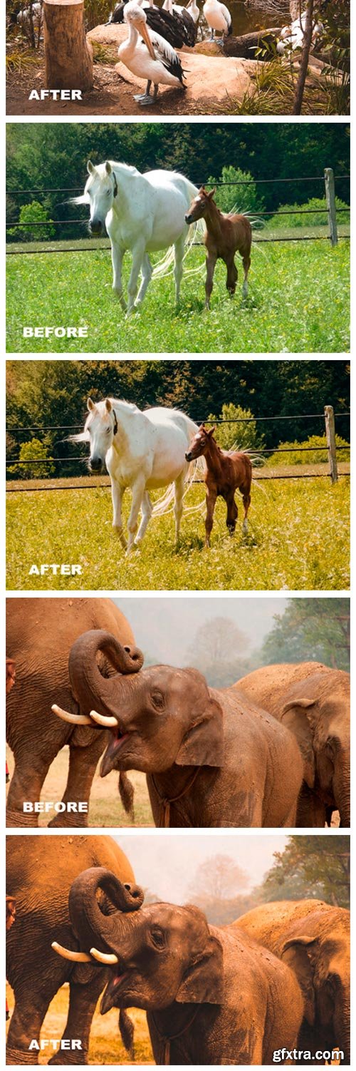 Cinematic Lightroom Presets Nature Tone 6099942 Cinematic Lightroom Presets Nature Tone 6099942