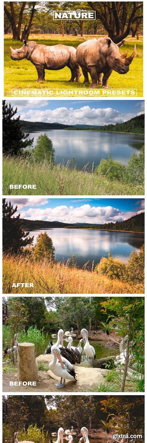 Cinematic Lightroom Presets Nature Tone 6099942 Cinematic Lightroom Presets Nature Tone 6099942