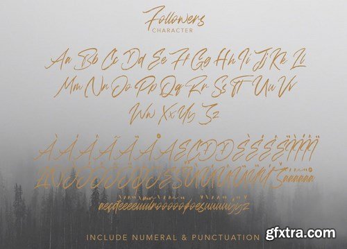Follower Handwritten Brush Font