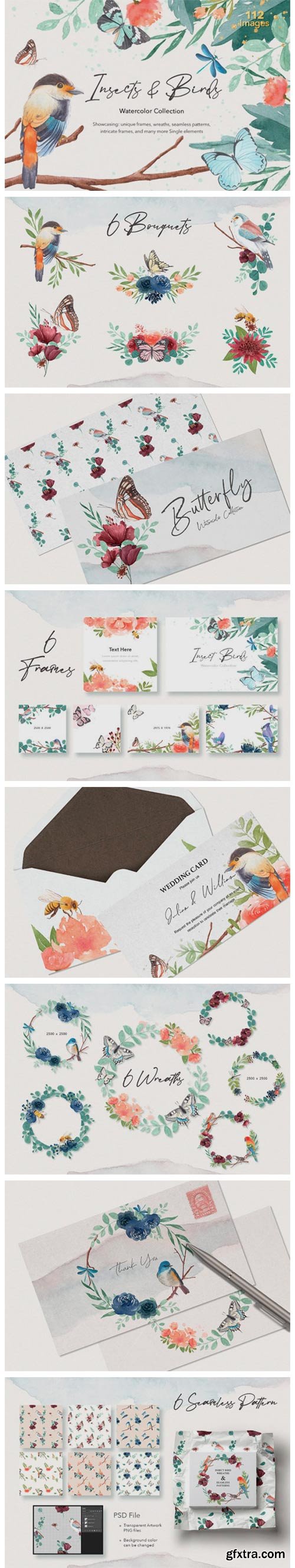 Insects & Birds Watercolor Collections 6169942 Insects & Birds Watercolor Collections 6169942