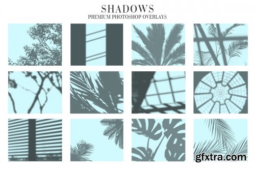CreativeMarket - Shadows Overlays Photoshop 4943045