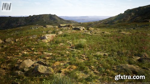 Meadow Wetlands Landscape