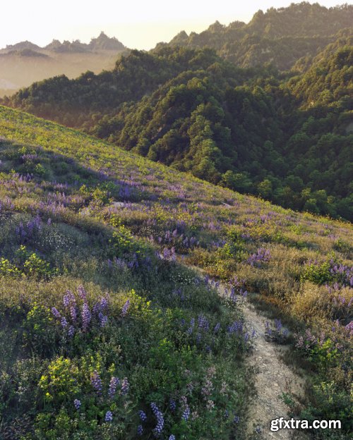 Maxtree – Plant Models Vol. 54