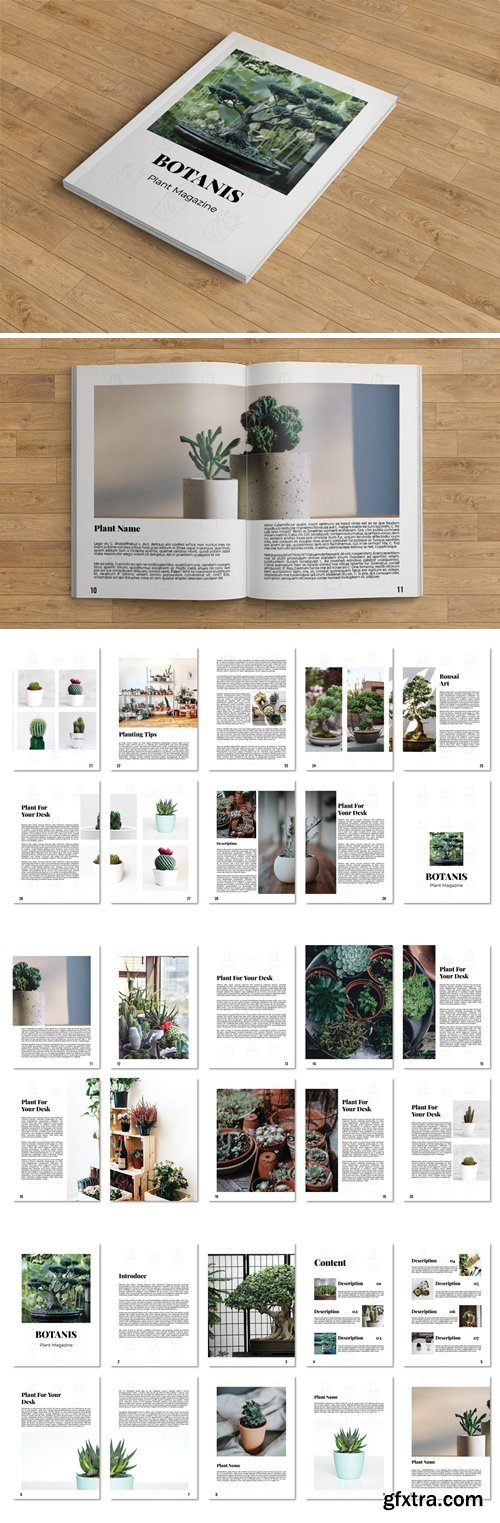 Botanist – Plant Magazine