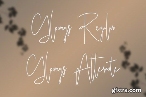 Ameriondela Luxury Classy Font