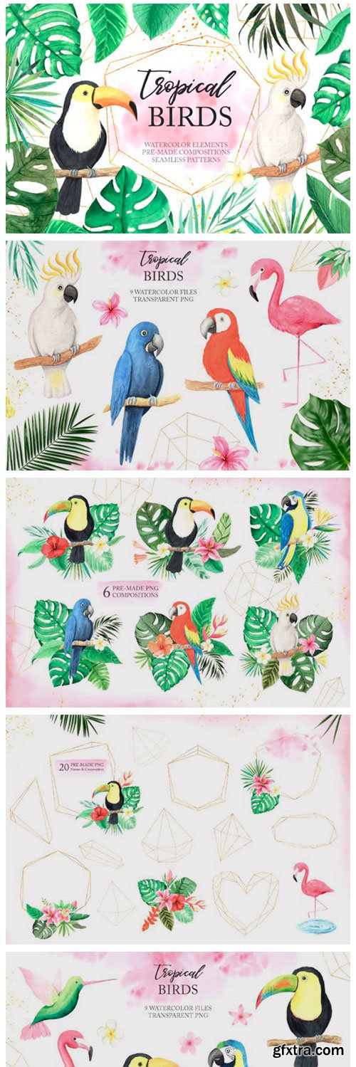 Watercolor Tropical Birds Set 3672827