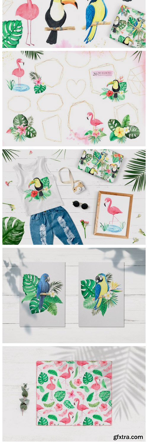 Watercolor Tropical Birds Set 3672827