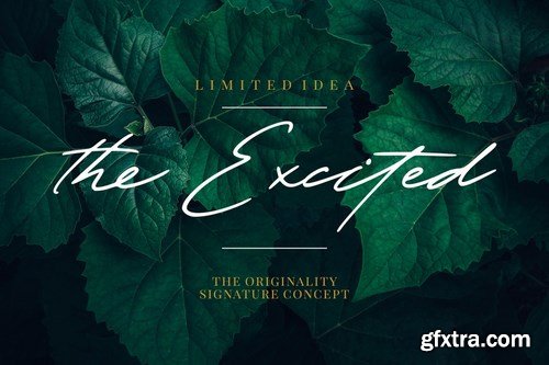 The Excited - Stylistic Signature Font