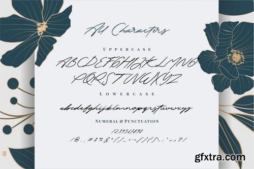 The Excited - Stylistic Signature Font