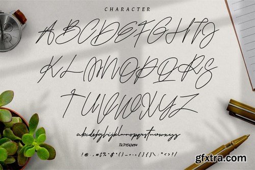 The Scientist Signature - Modern Handwritten Font