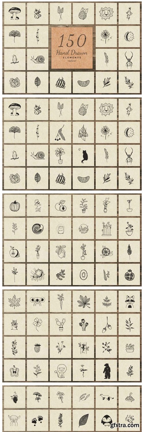 150 Hand Drawn Elements Nature III 6576141 150 Hand Drawn Elements Nature III 6576141