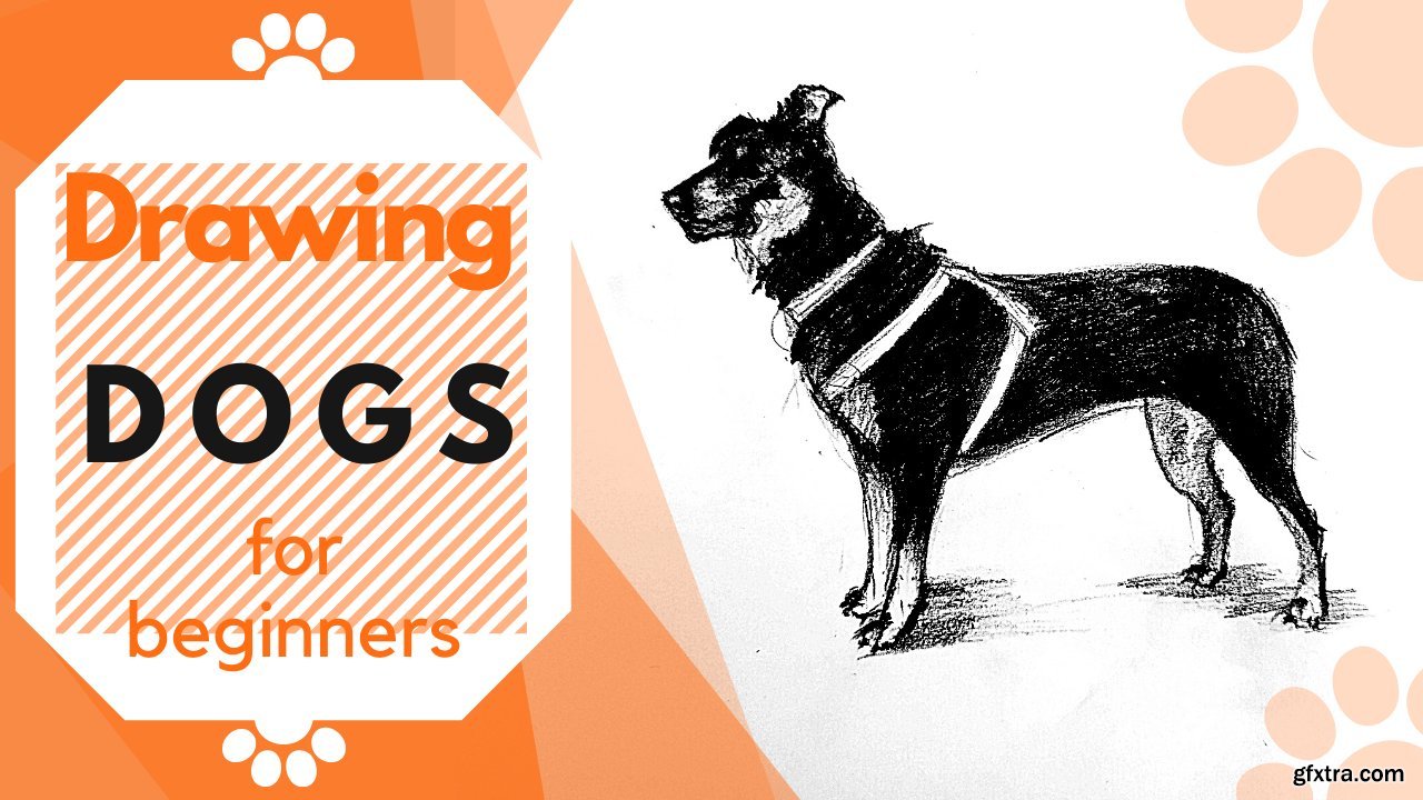 The Dog Figure | Drawing Animals For Beginners » GFxtra