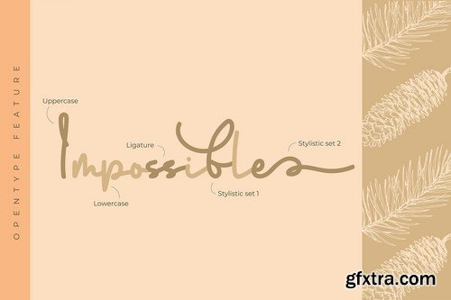 Eralyne Monoline Handwritten Font