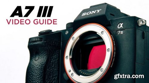 Dslr Video Shooter Academy - SONY A7 III VIDEO GUIDE