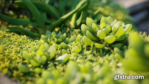 Maxtree - Plant Models Vol 42