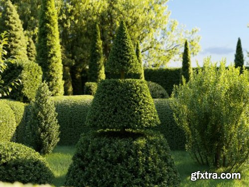 Maxtree - Plant Models Vol .28