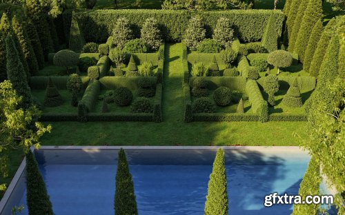 Maxtree - Plant Models Vol .28