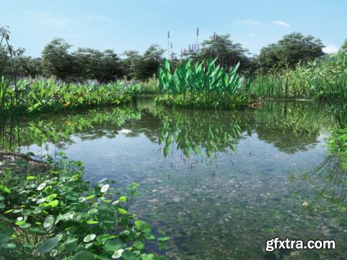 Maxtree - Plant Models Vol .29