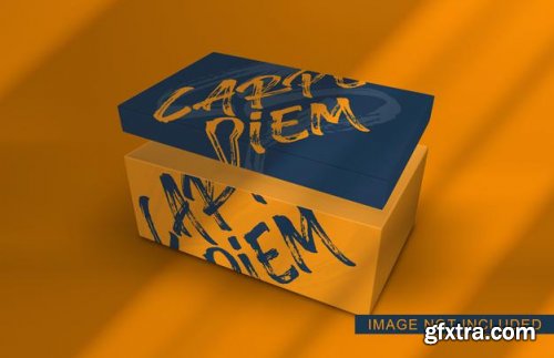 Box packaging mockup