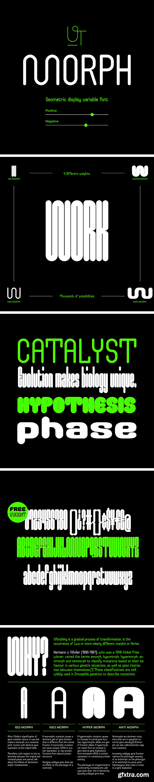 UT Morph Typeface