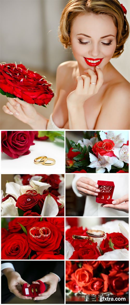 Bride with red roses and wedding rings stock photo