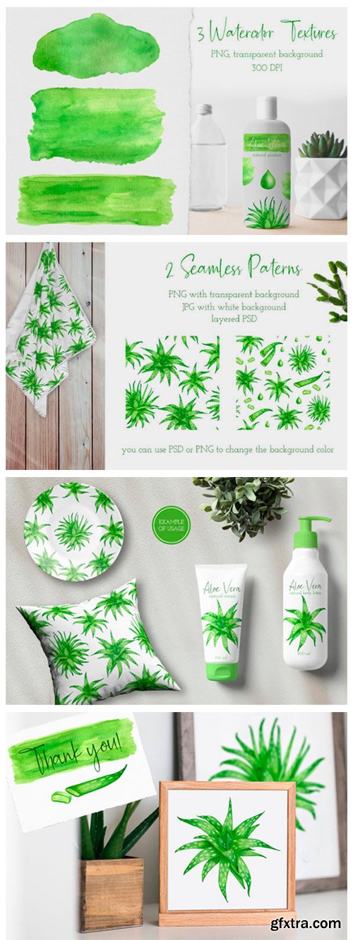 Aloe Vera Watercolor Succulent Clipart 8290762
