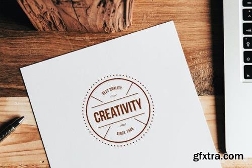 Realistic Logo Mockup Realistic Logo Mockup