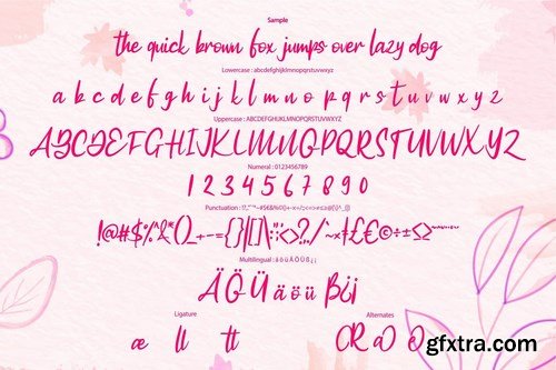 Rafelia Modern Script Font