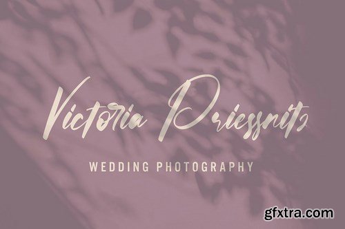 Loveless - Wedding Calligraphy Font