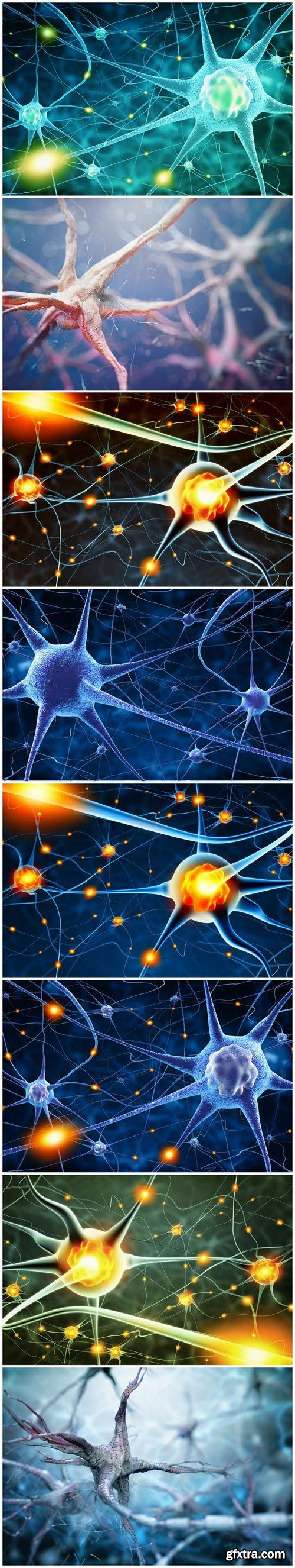 Active nerve cells - Set of 8xUHQ JPEG Professional Stock Images