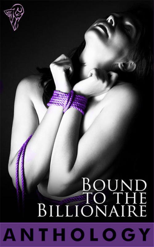 Bound to the Billionaire -- Wendi Zwaduk - Sierra Cartwright - Natalie Dae