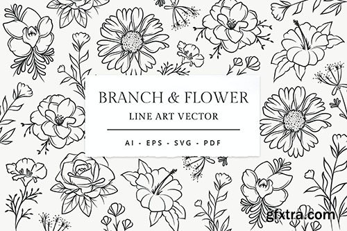 Branch & Flower Line Art Illustration