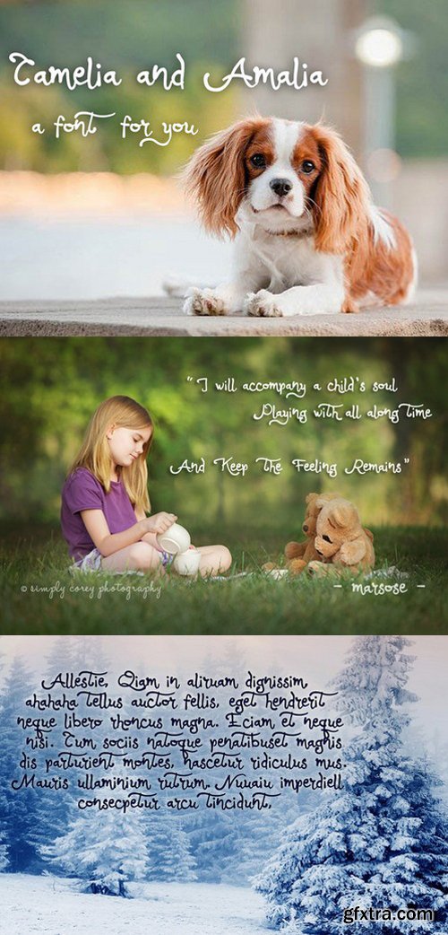 My Mix Fonts Bundle 2