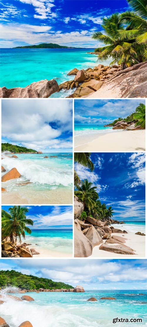 Palm trees and rocks by the sea stock photo