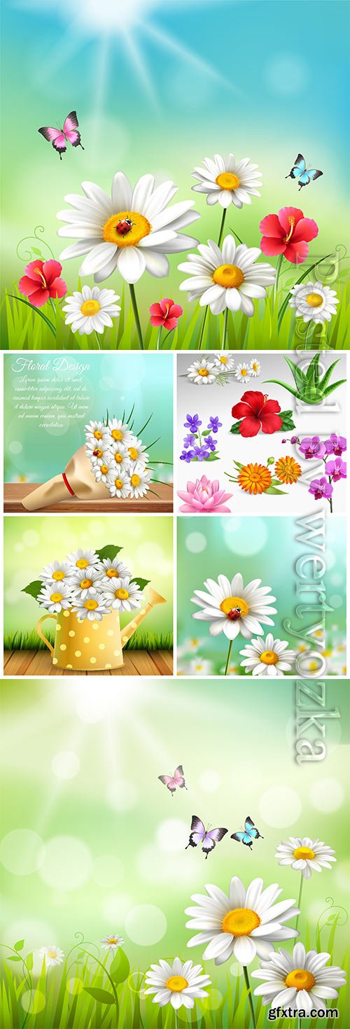 Beautiful flowers, chamomile in vector Beautiful flowers, chamomile in vector